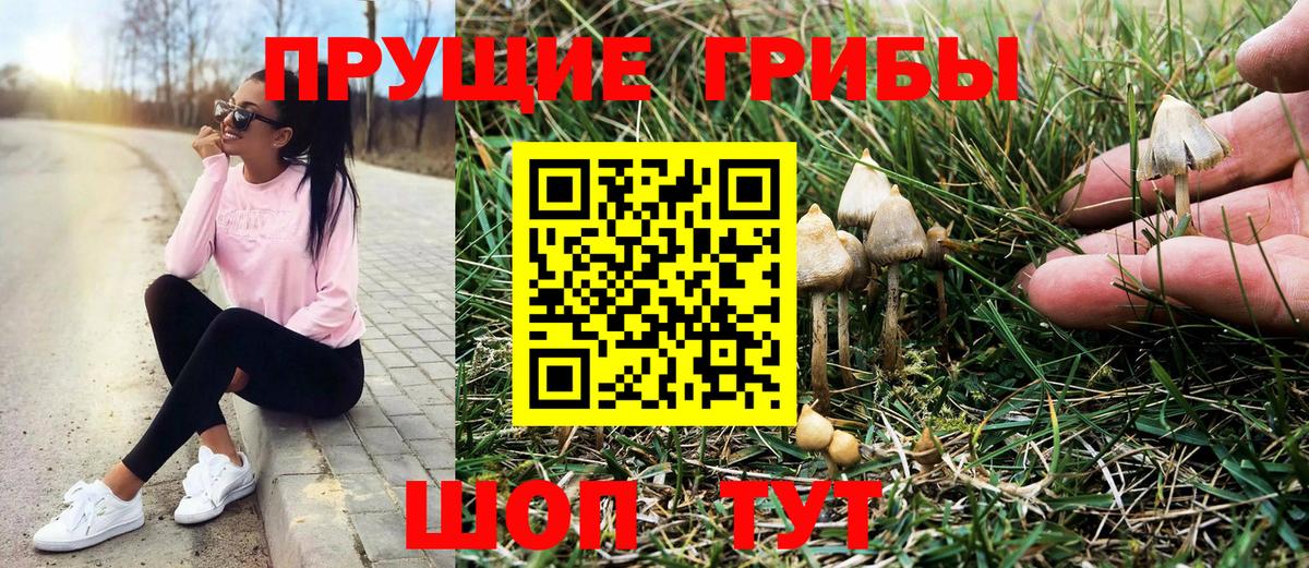 Слободской  закладки  Вход с VPN  Псилоцибиновые грибы Cubensis 